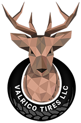valrico tires
